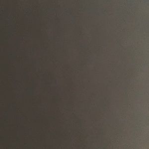 Meet your Posher, Lily